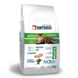 Ontario Cat Adult Castrate - 2
